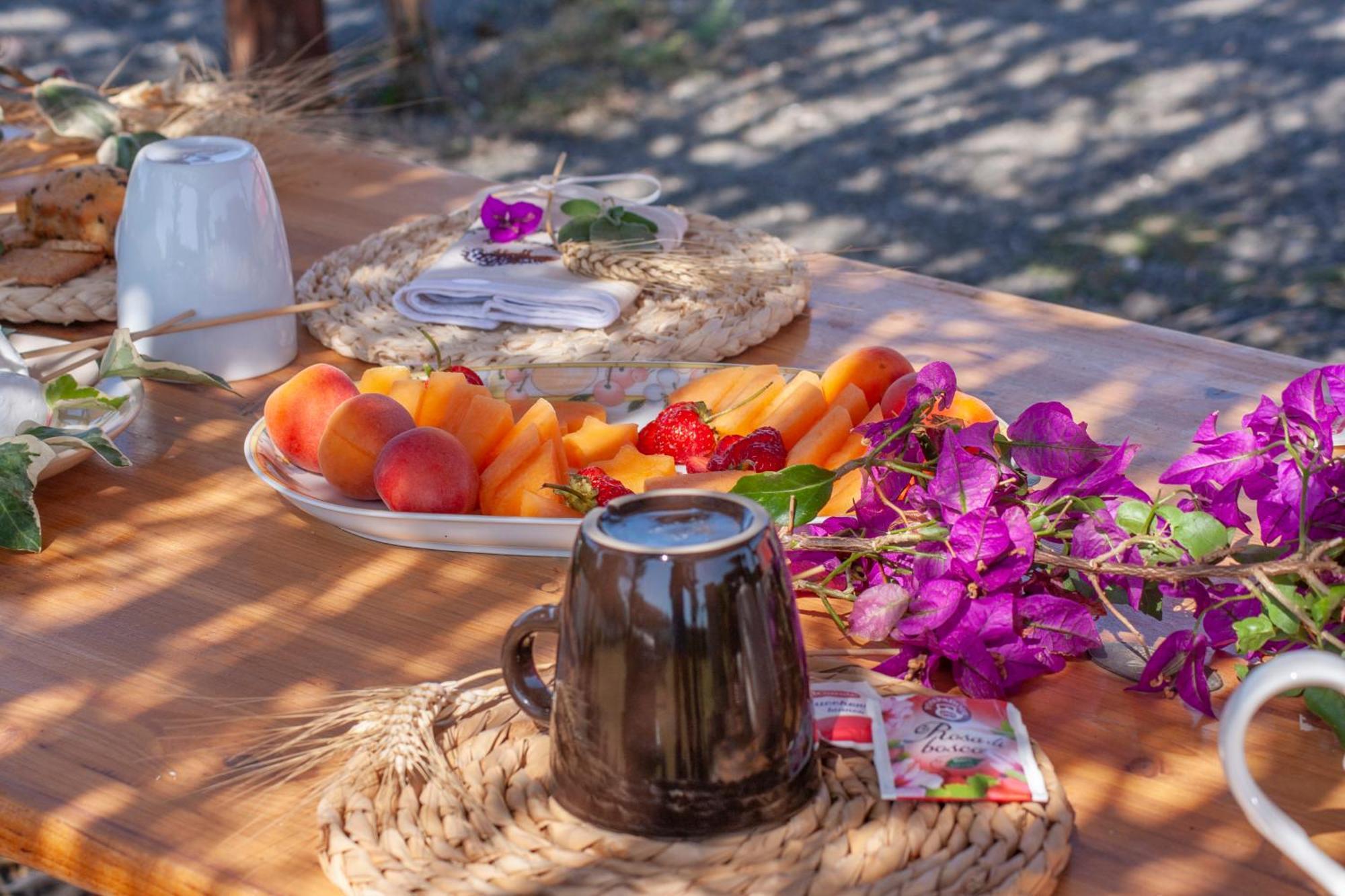 Agriturismo L'Istrice Di Gio モンタルト・ディ・カストロ エクステリア 写真